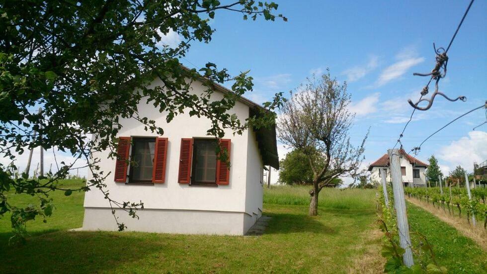 Apartamento Altes Presshaus Eberau Exterior foto
